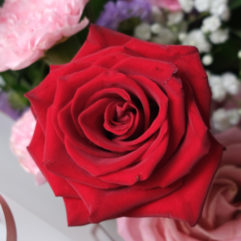 Hermosa X Explorer Bouquet in a Vase
