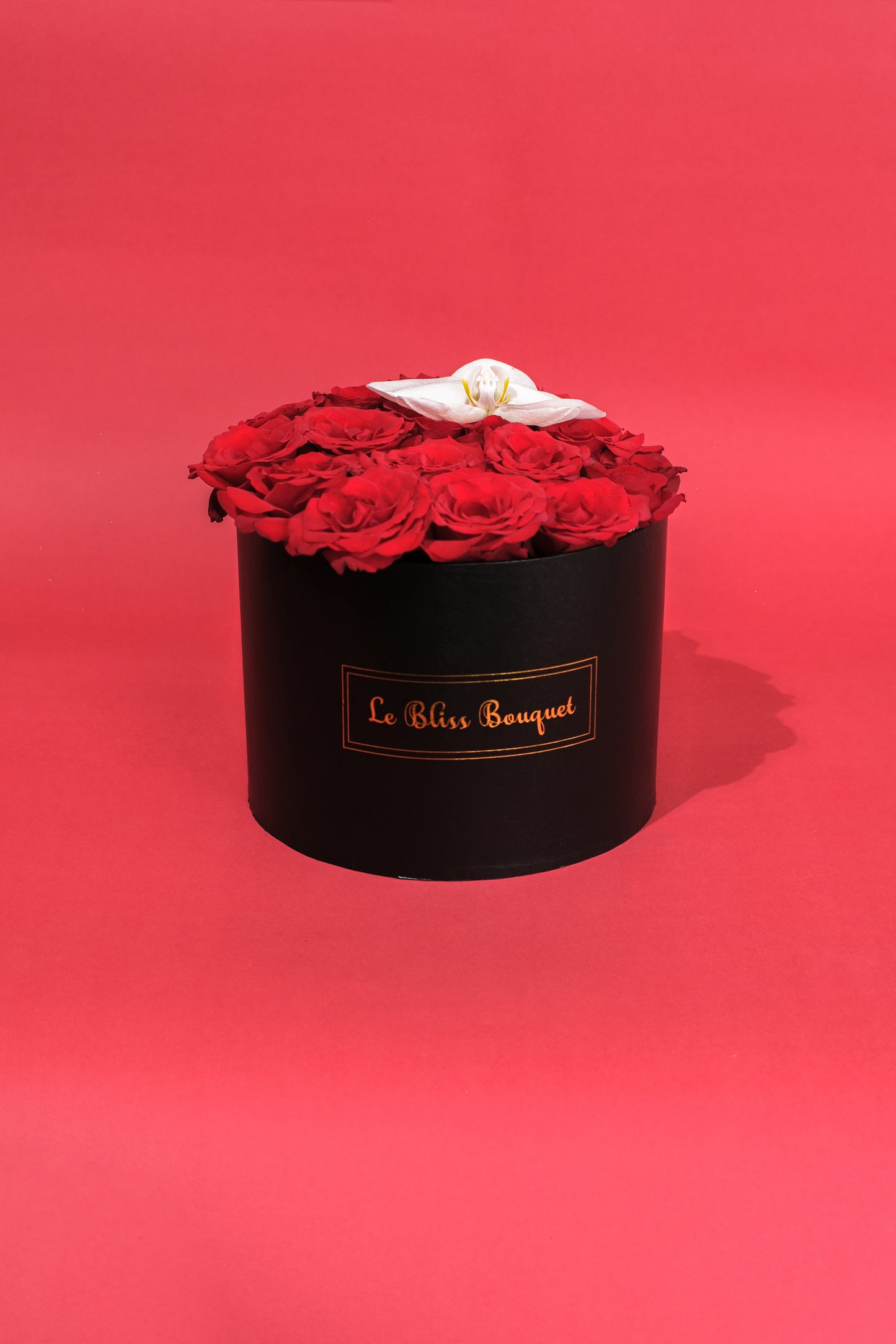 Classic Red Rose Orchid Bloombox