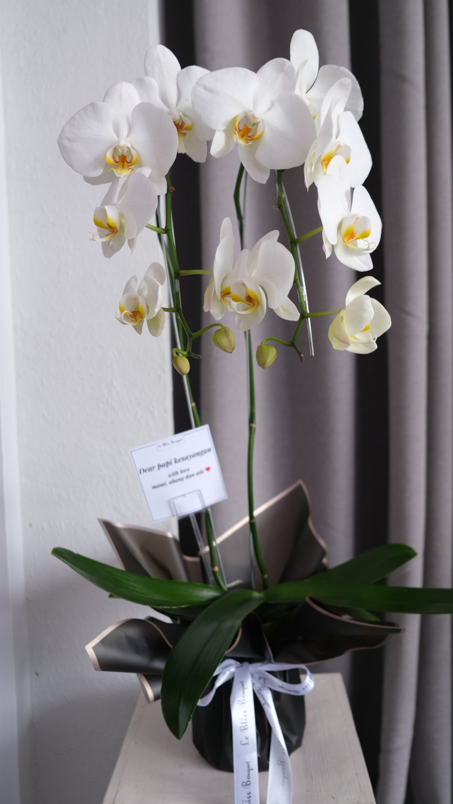 vas bunga anggrek putih pengiriman jakarta, surabaya, Cirebon, Bintaro, tangerang. by Le Bliss Bouquet - Orchid Vase