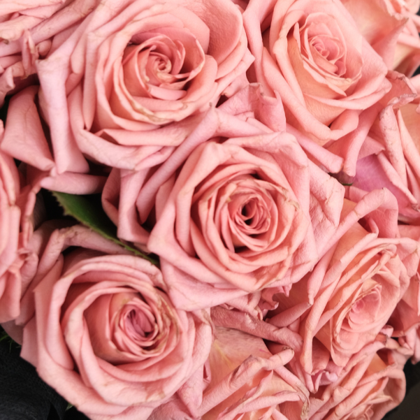 Barista Rose Round Bouquet