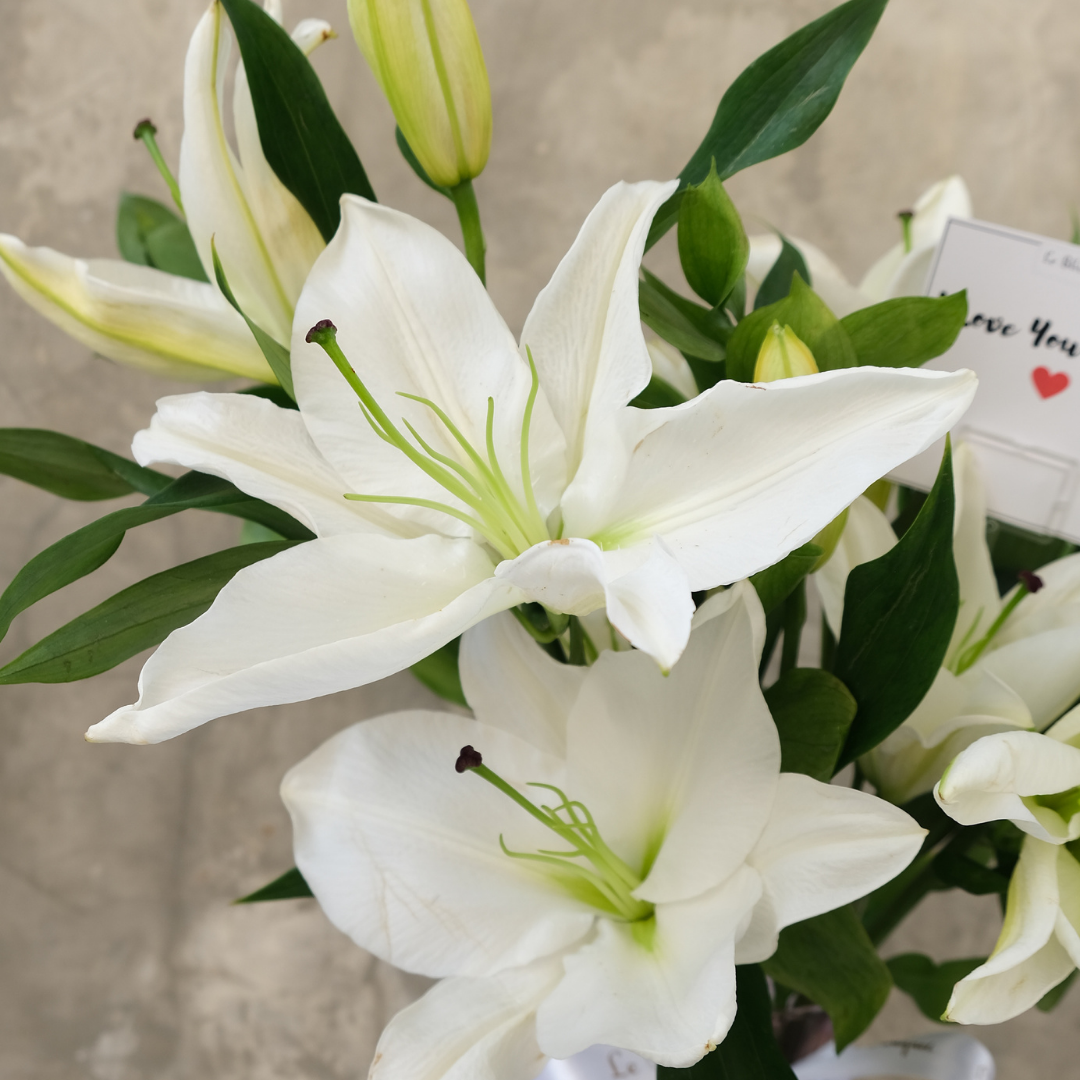 Serene Lily Elegance Vase - Le Bliss Bouquet