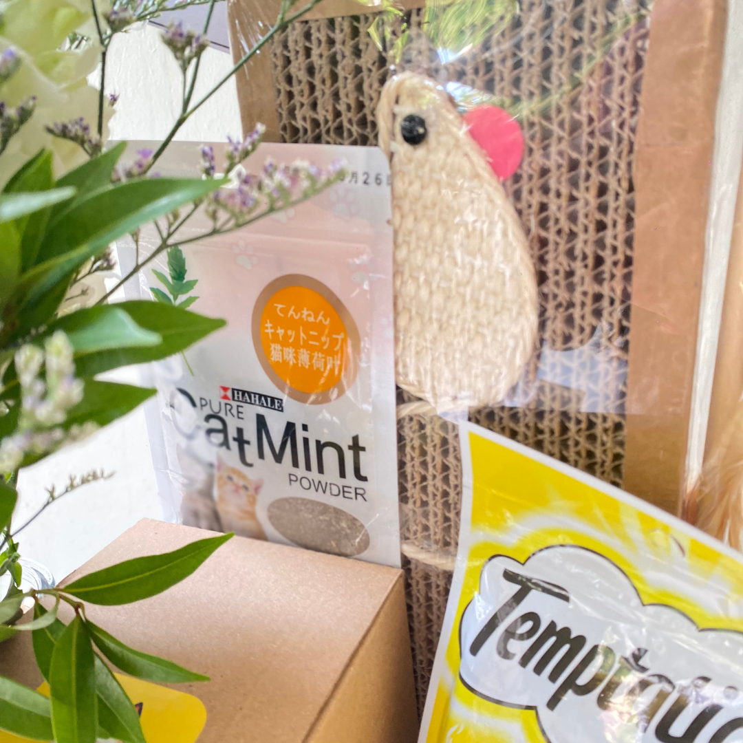 Cat Mom Hamper