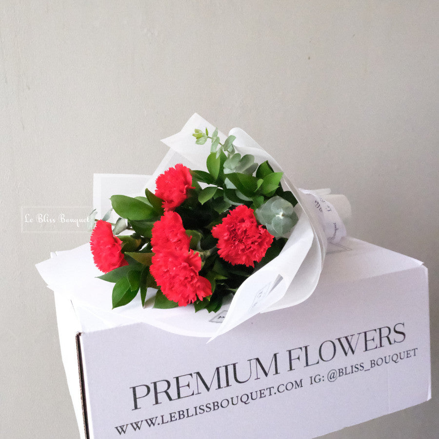 Red Carnation Nationwide Bouquet