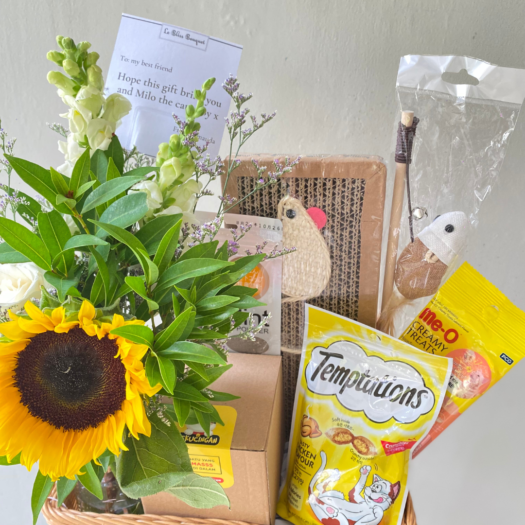 Cat Mom Hamper