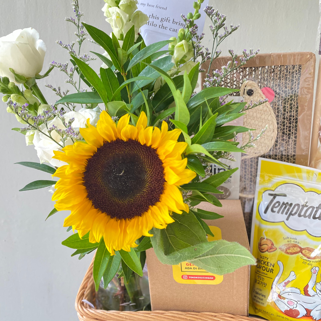 Cat Mom Hamper