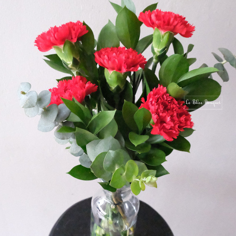 Red Carnation Nationwide Bouquet