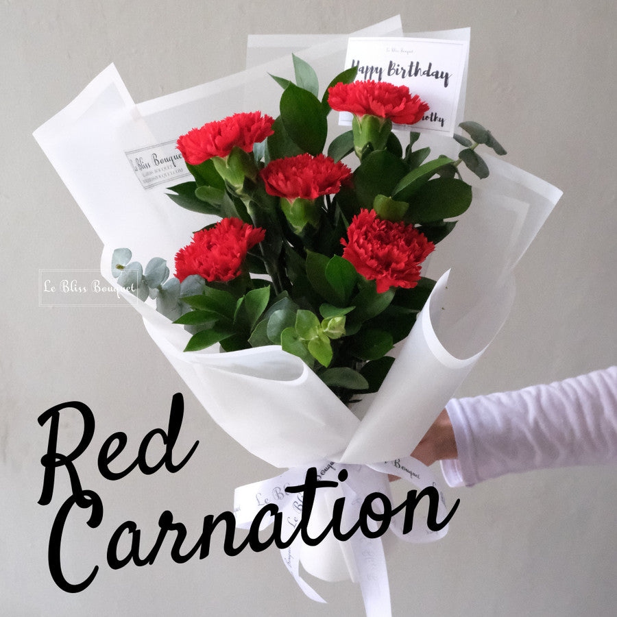 Red Carnation Nationwide Bouquet