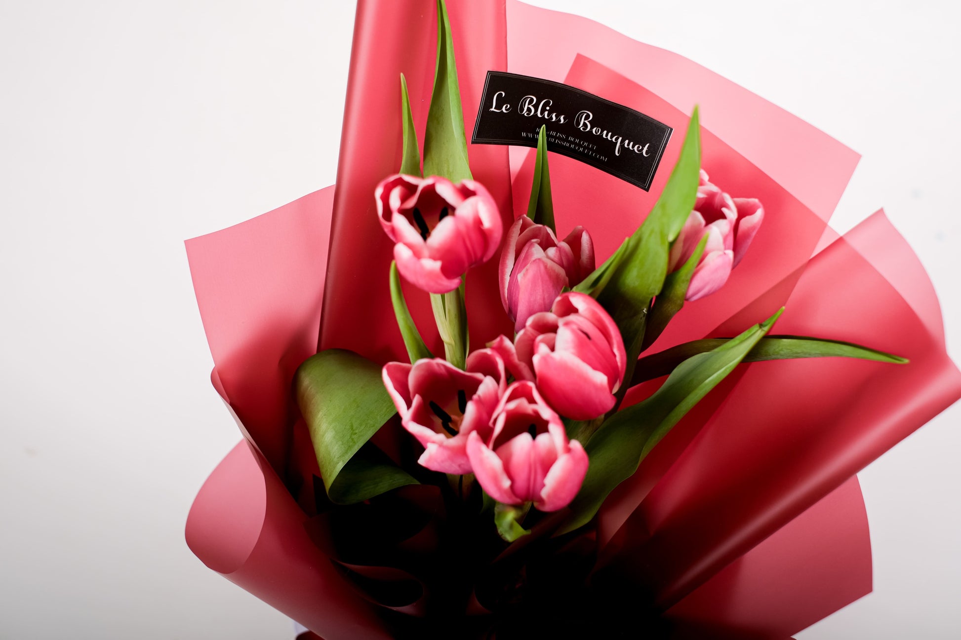 Buket tulip segar dan elegan, tersedia untuk pengiriman Jakarta Cirebon Bintaro Surabaya