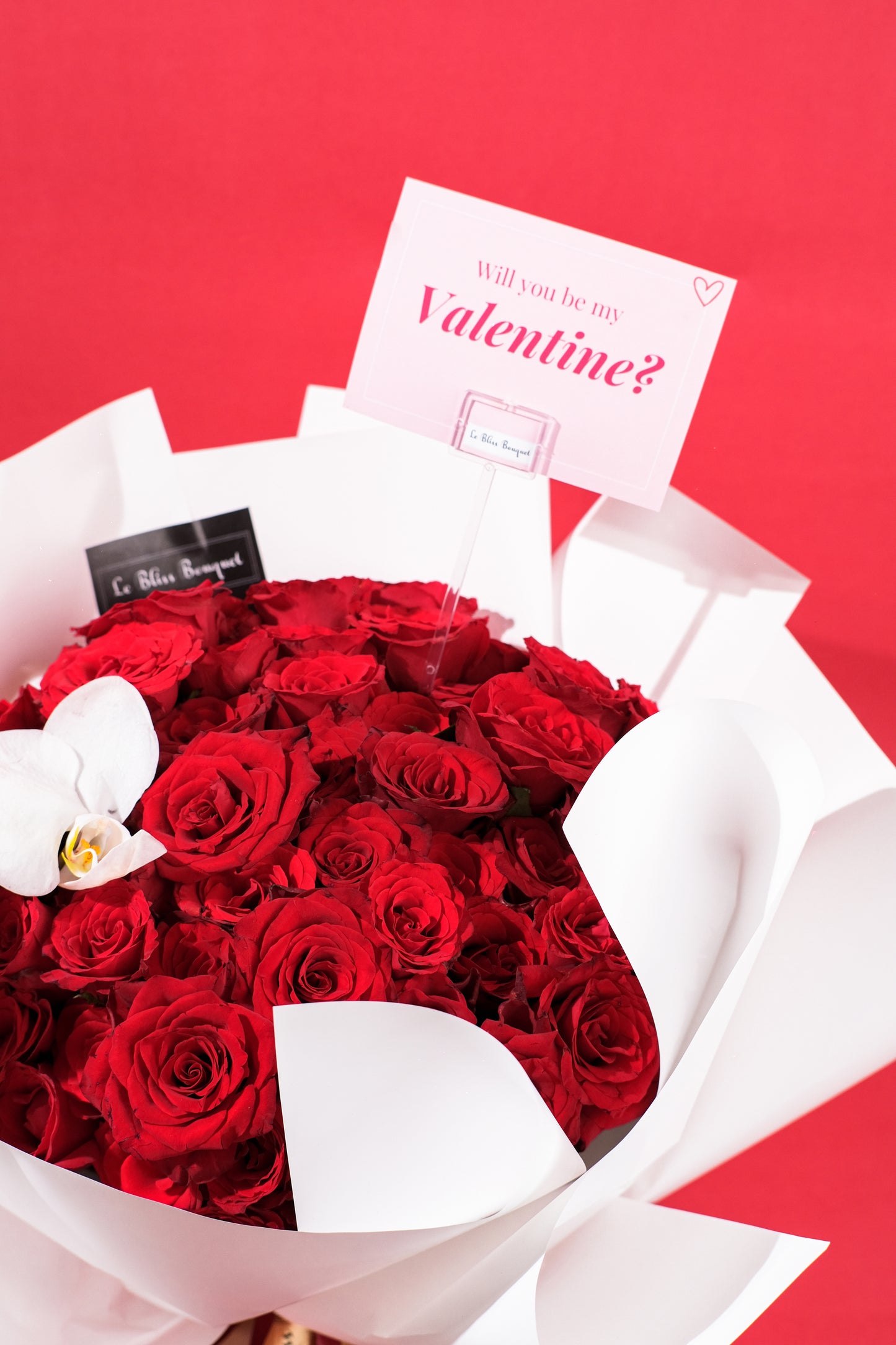60 Red Roses Orchid Bouquet