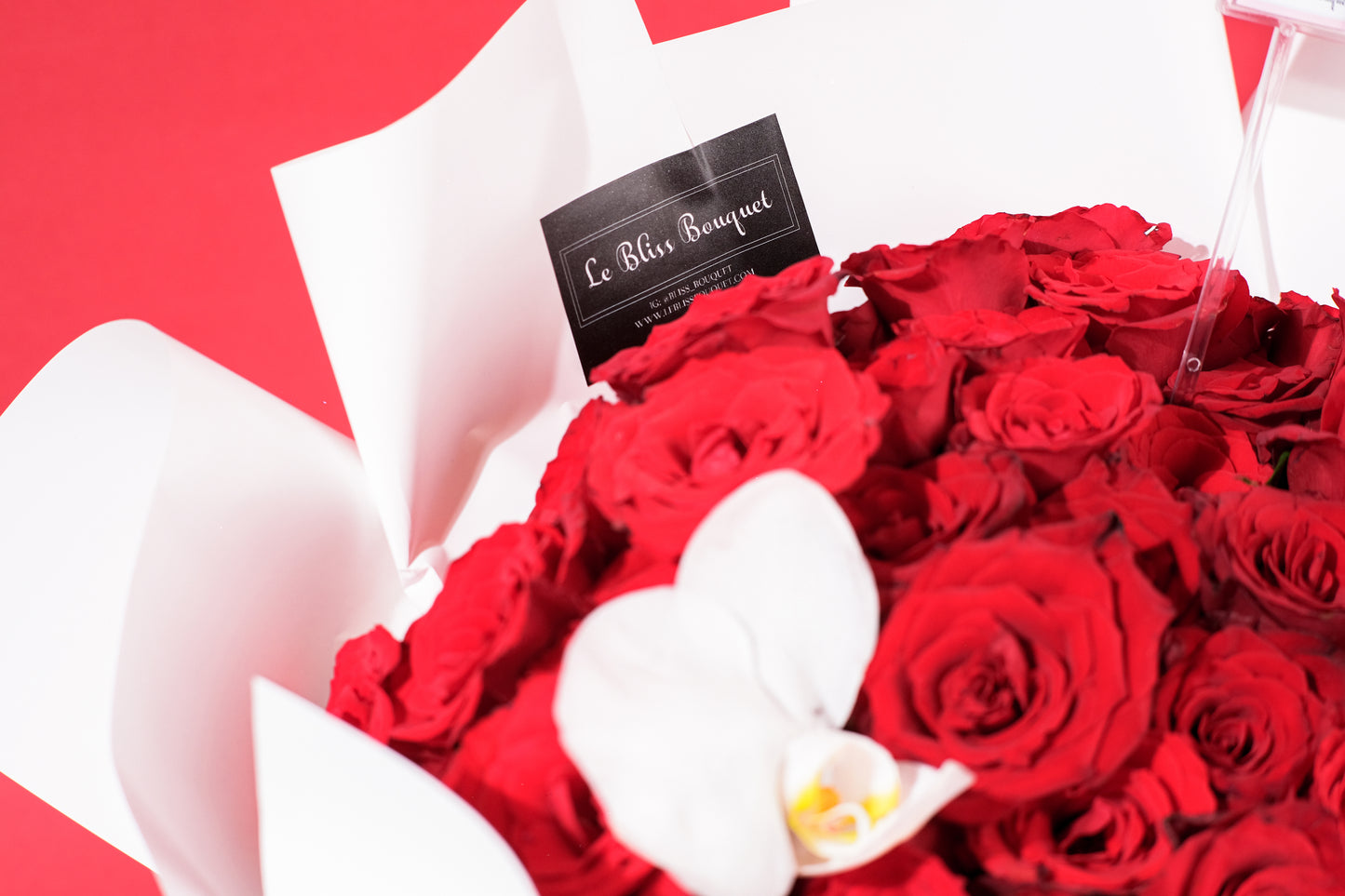 60 Red Roses Orchid Bouquet