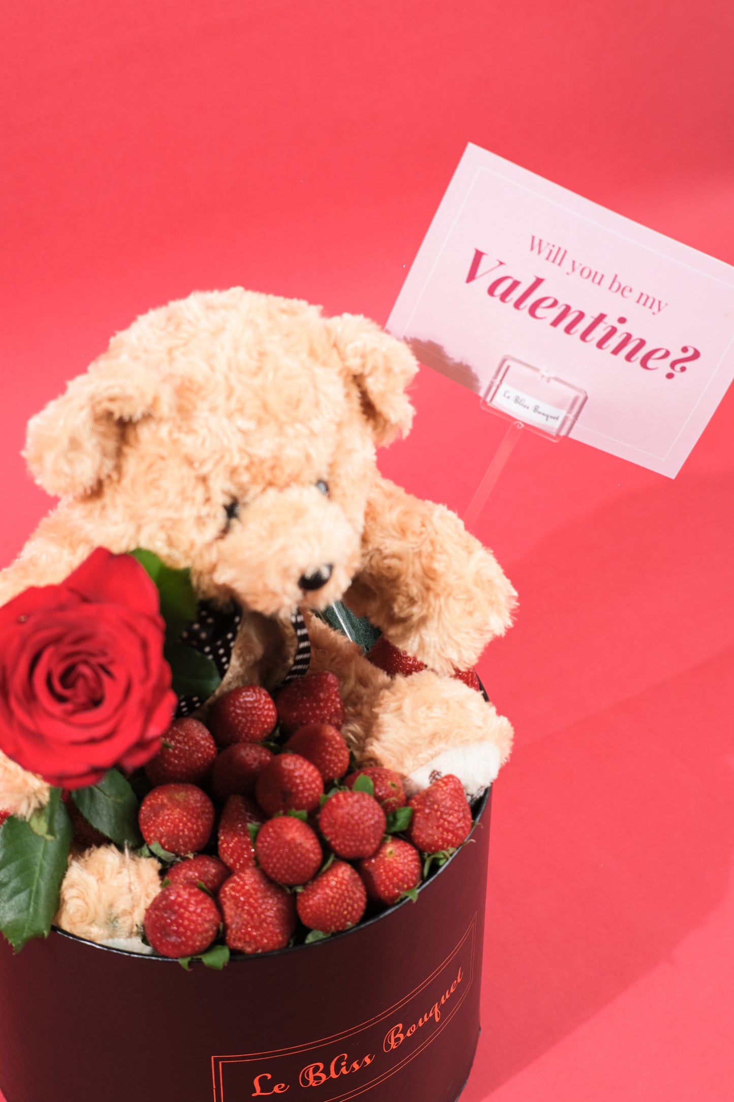 Strawberry Teddy Rose Gift Set