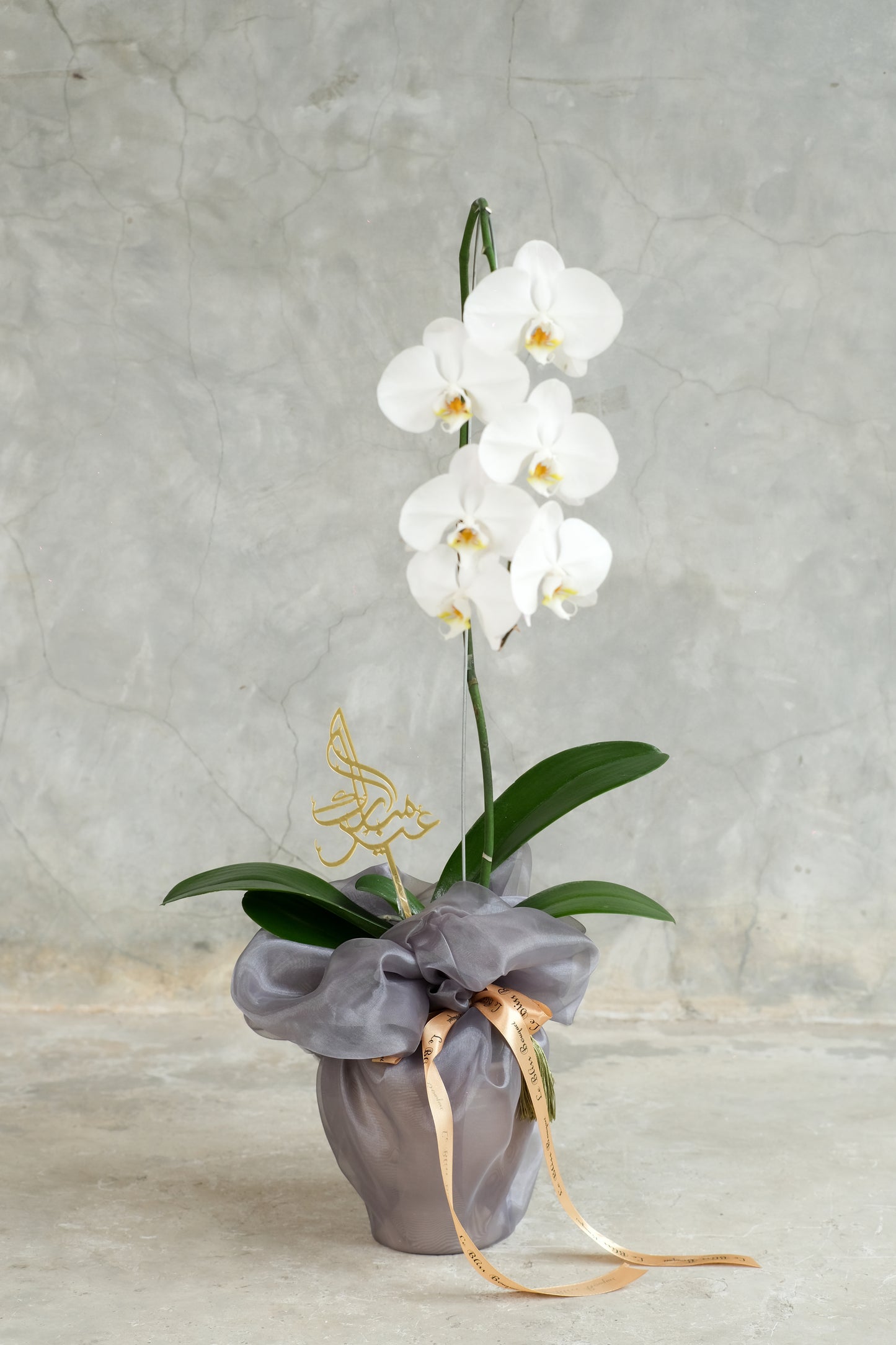 Wrappes Orchid Vase Eid Special