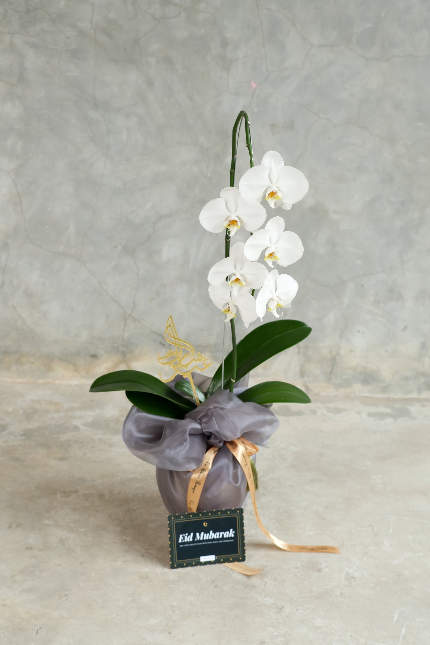 Wrappes Orchid Vase Eid Special