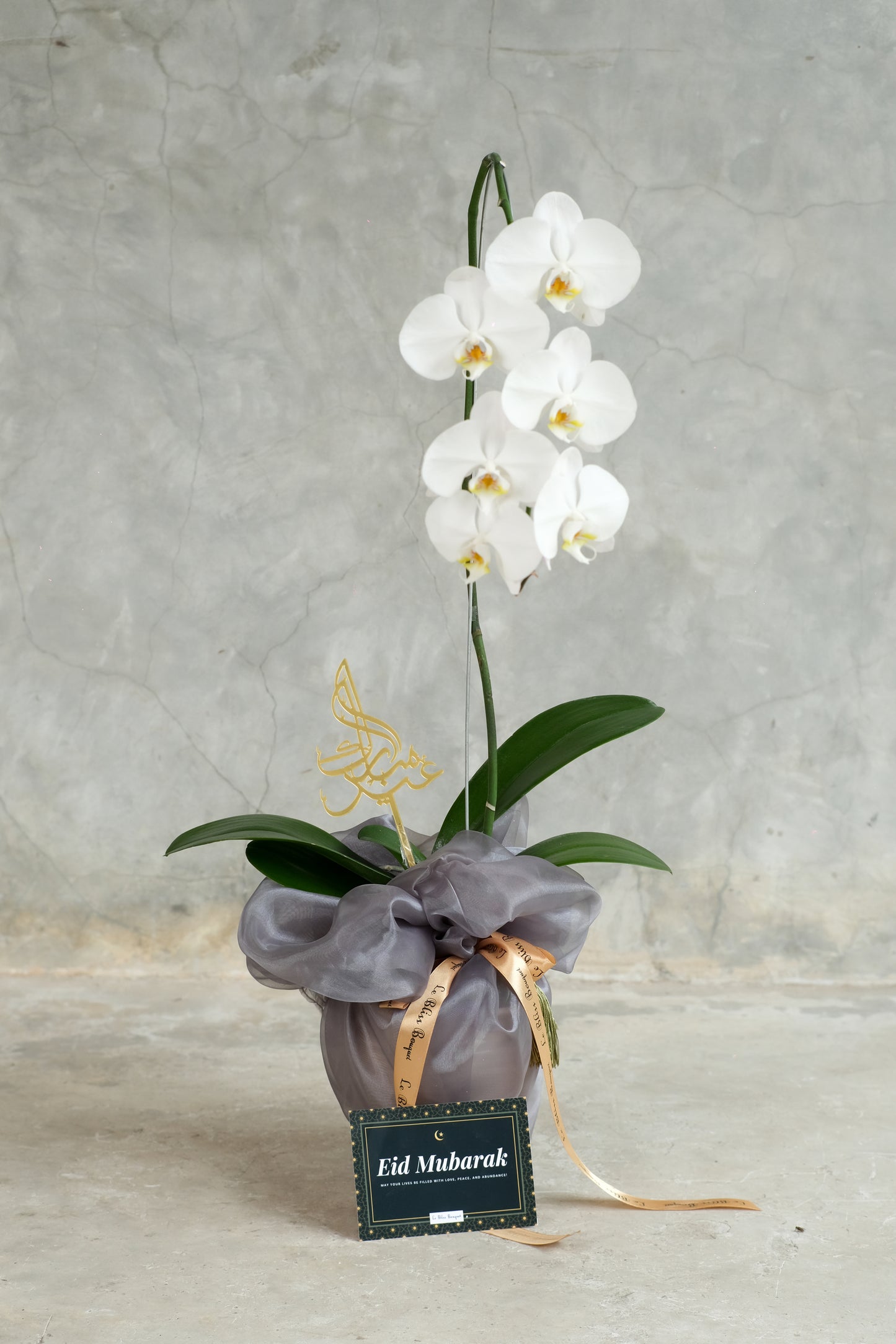 Wrappes Orchid Vase Eid Special