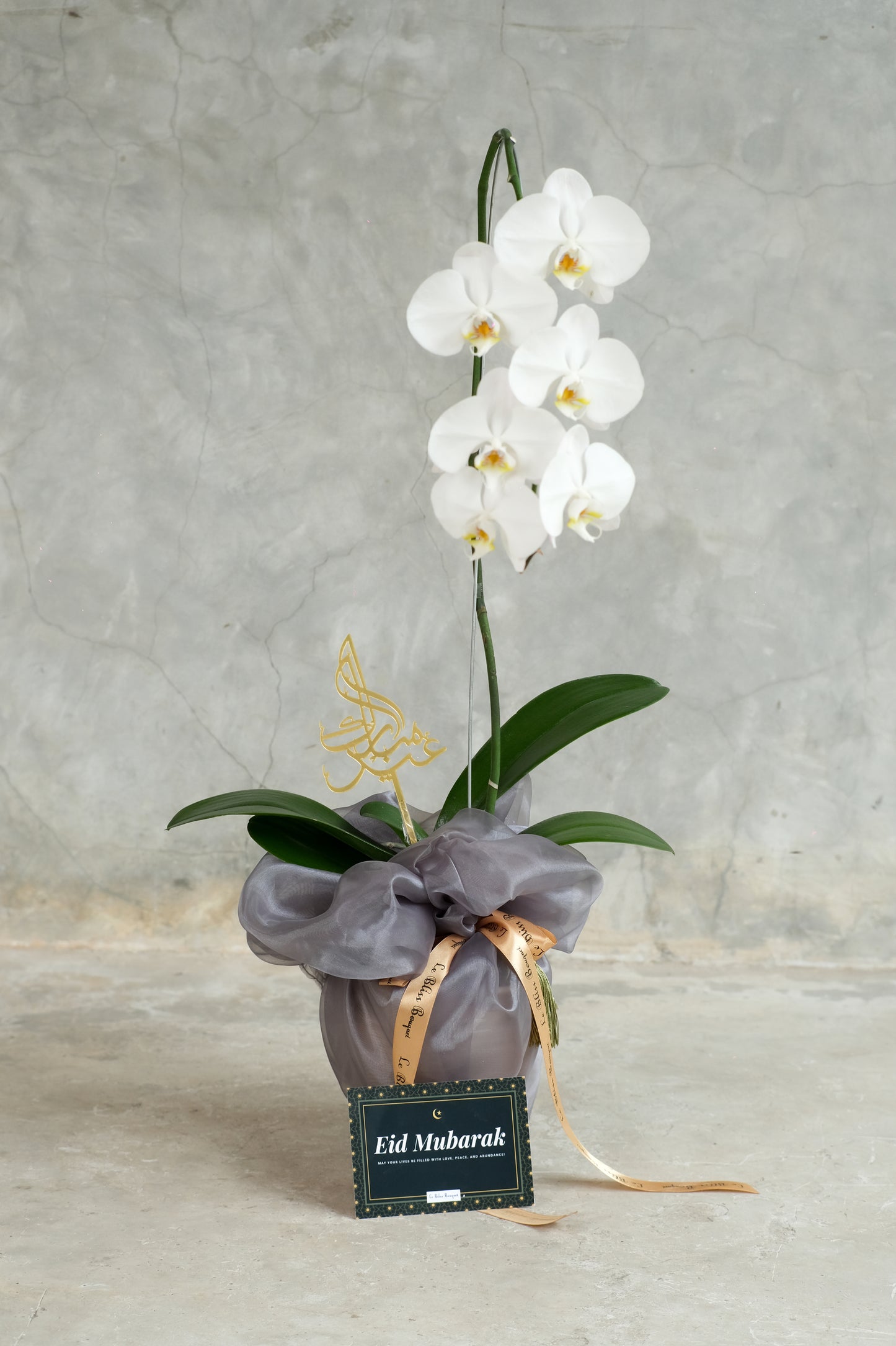 Wrappes Orchid Vase Eid Special
