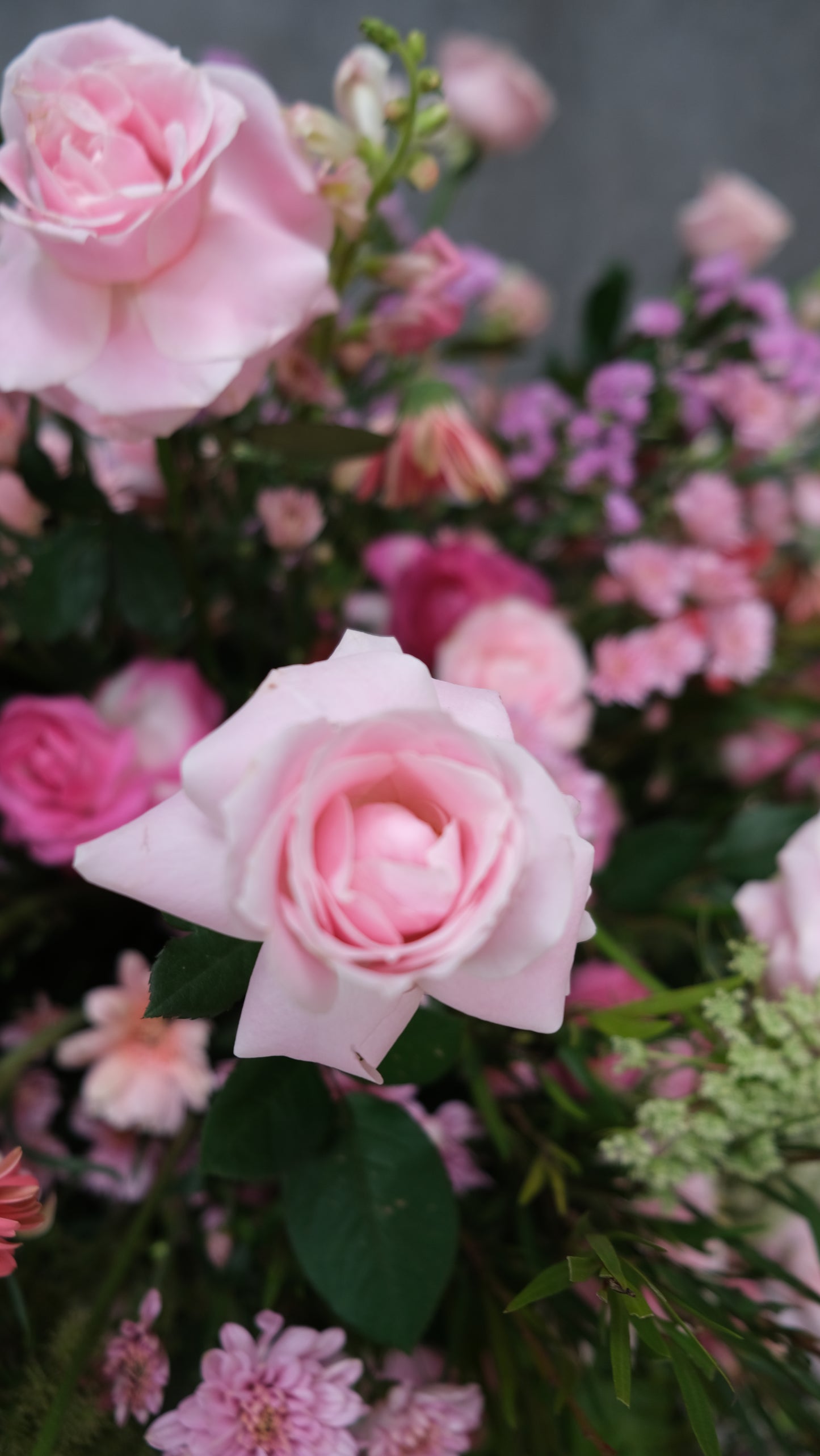 Pink Floral Installation