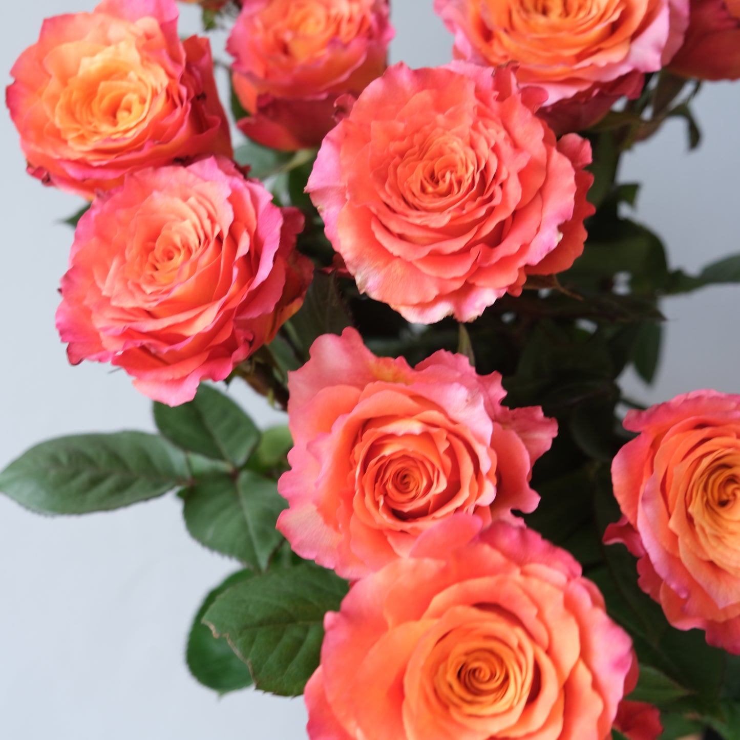 Free Spirit Medium Bouquet