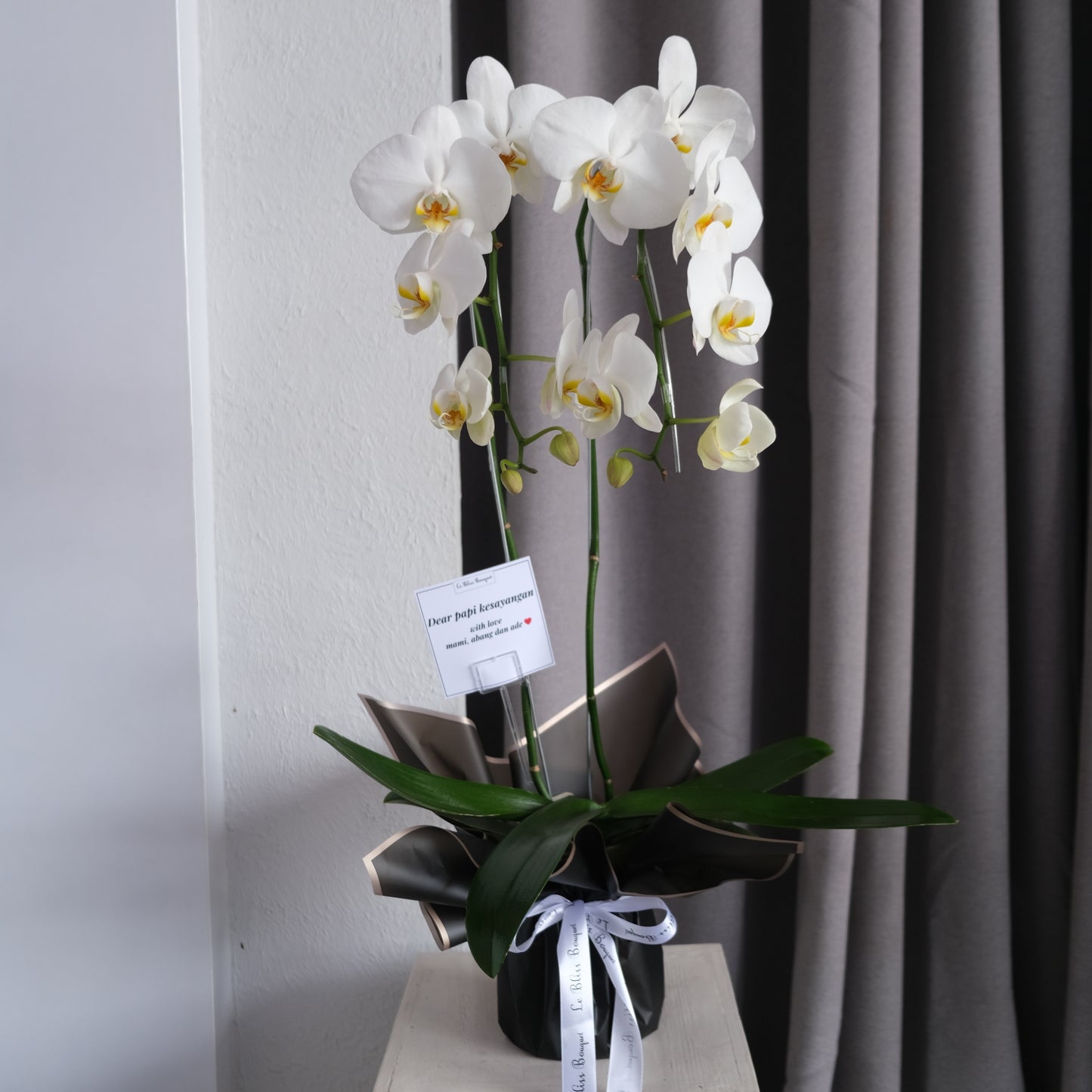 vas bunga anggrek pengiriman jakarta, surabaya, Cirebon, Bintaro, tangerang. by Le Bliss Bouquet - Orchid Vase