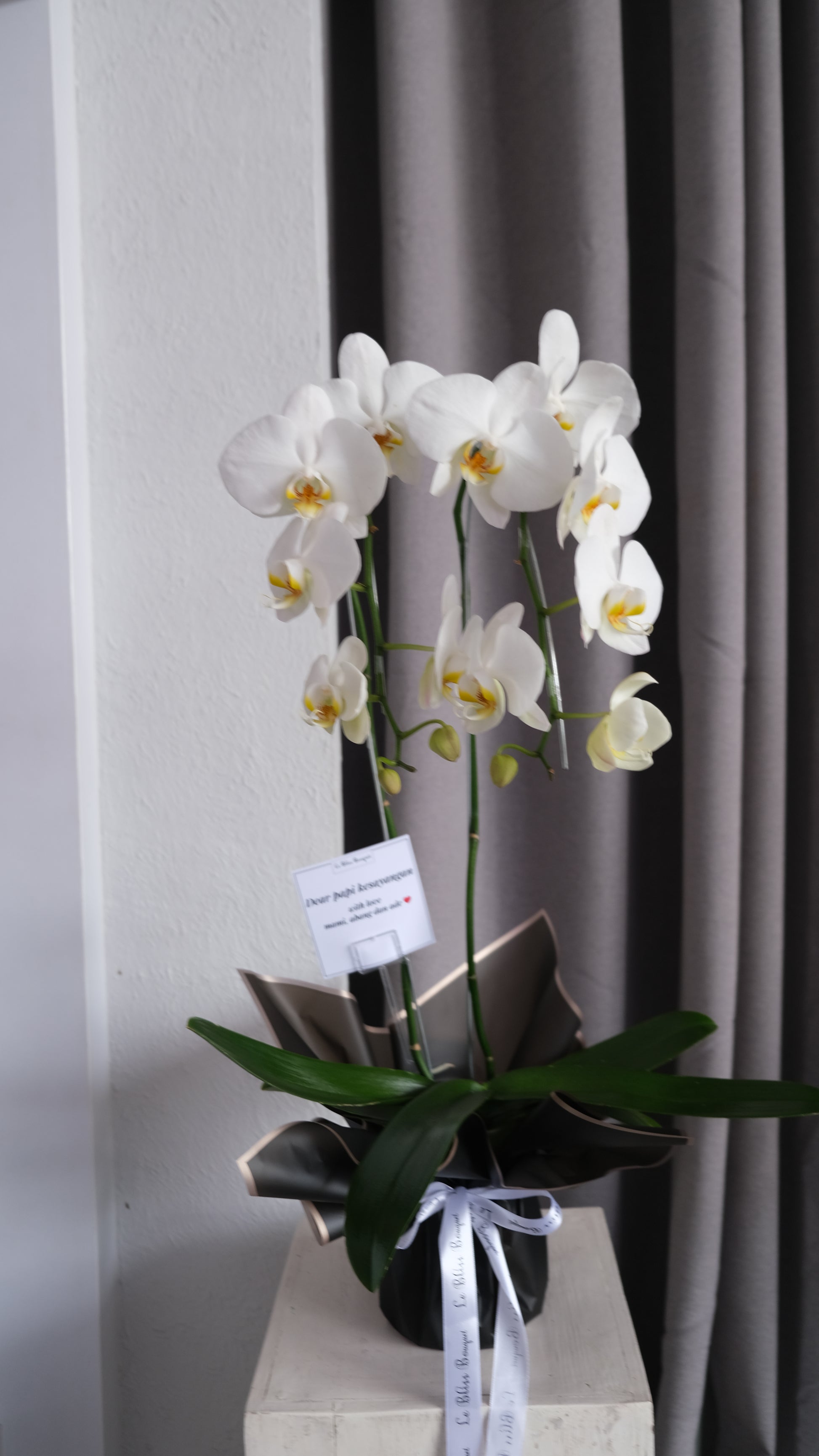 vas bunga anggrek pengiriman jakarta, surabaya, Cirebon, Bintaro, tangerang. by Le Bliss Bouquet - Orchid Vase arrangement