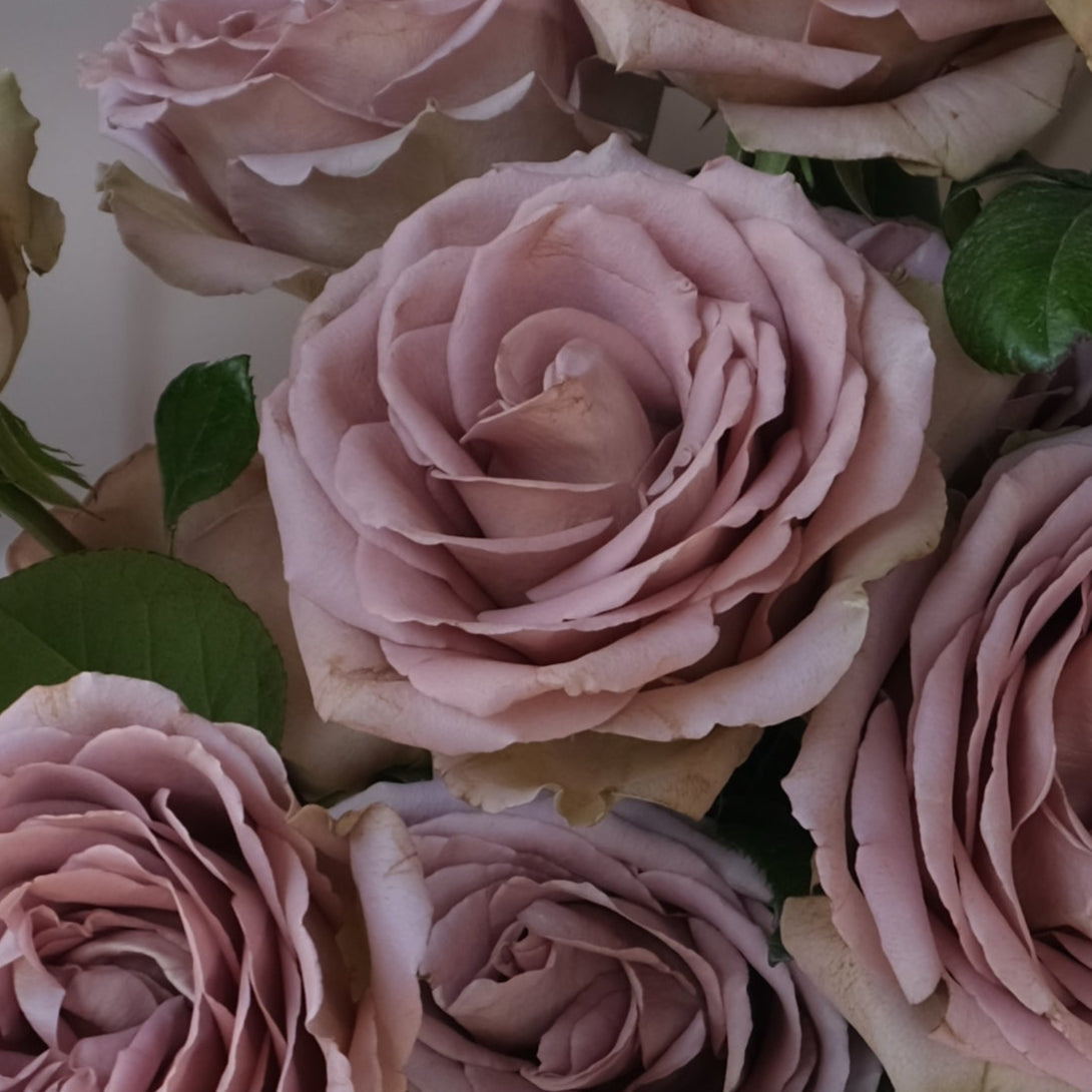 Amnesia Rose Bouquet - Le Bliss Bouquet