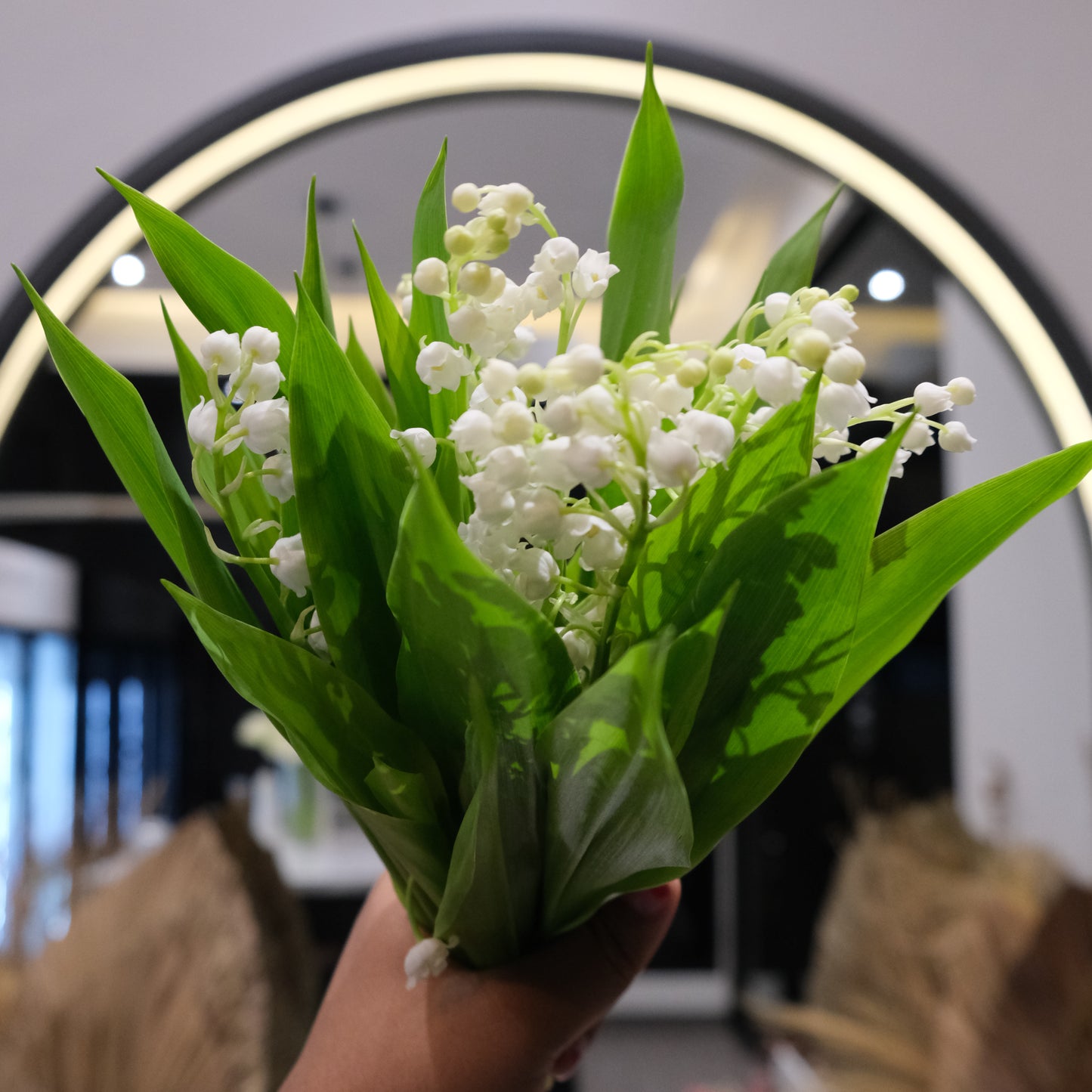 Lily of the Valley