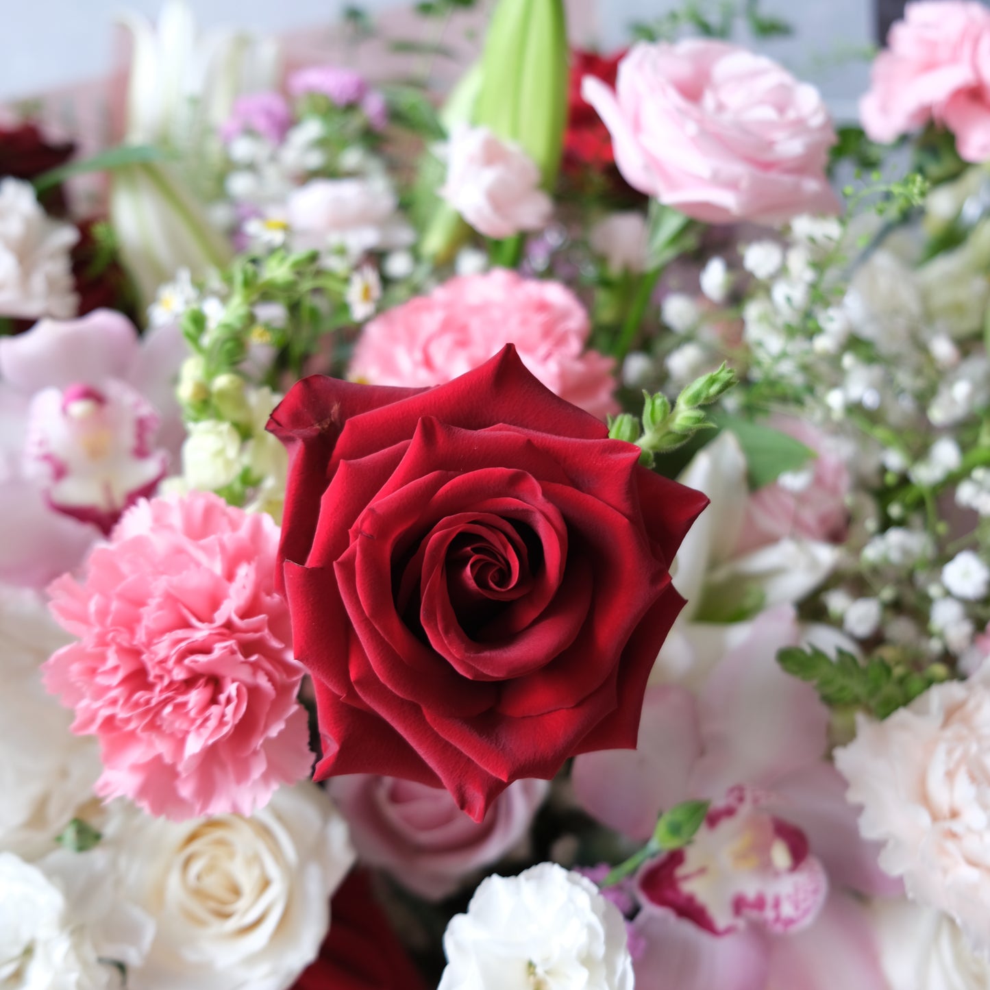 Explorer Rose Peony Human Size Bouquet - Le Bliss Bouquet
