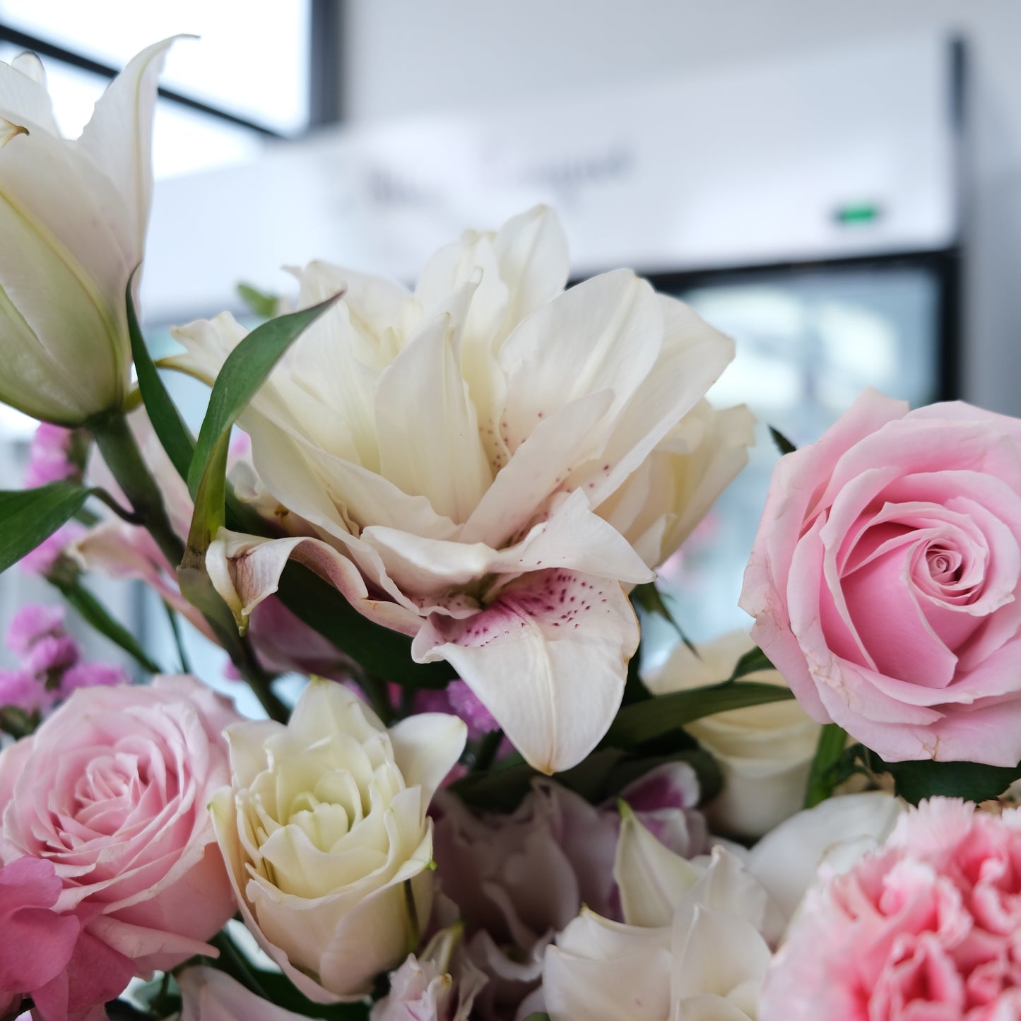 Pink White Gradation Grand Bloombox