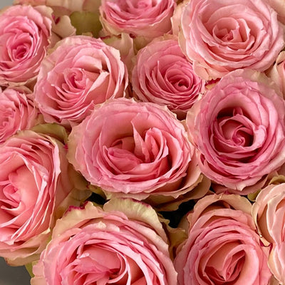 Esperance Ecuador rose bouquet with soft pink petals – Le Bliss Bouquet round wrap delivery Jakarta