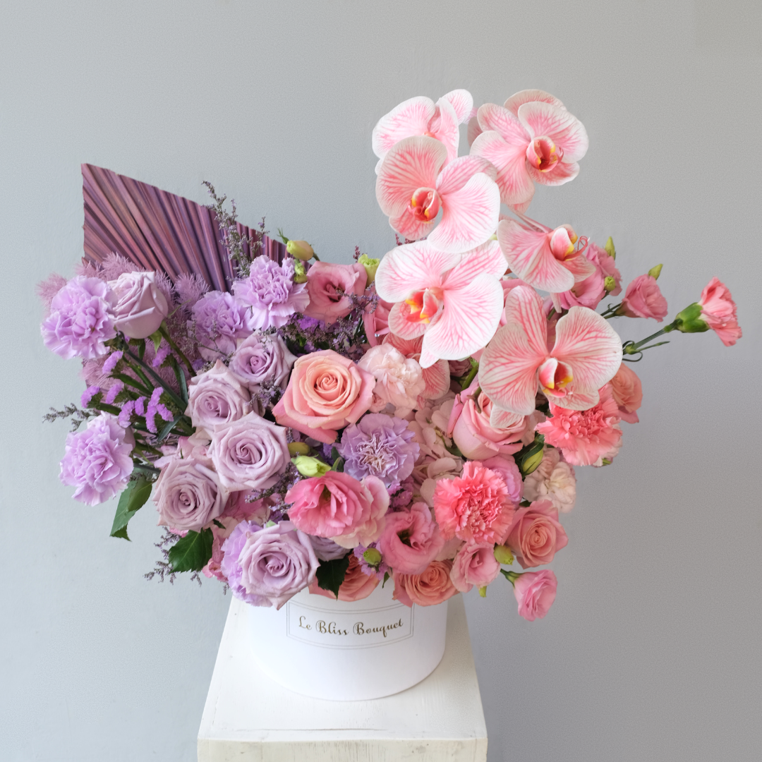 Lilac Hermosa Orchid Grand Bloombox