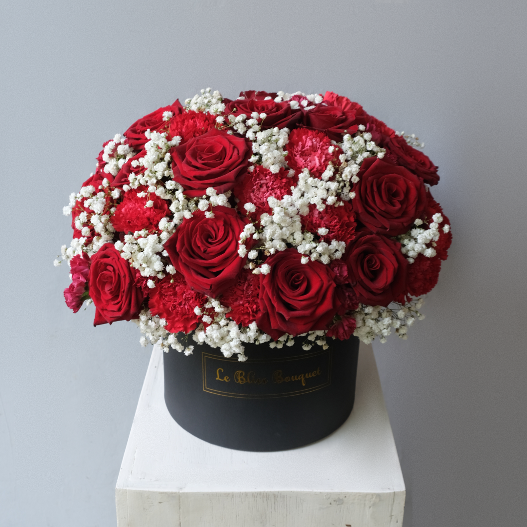 Red Explorer Rose Grand Bloombox
