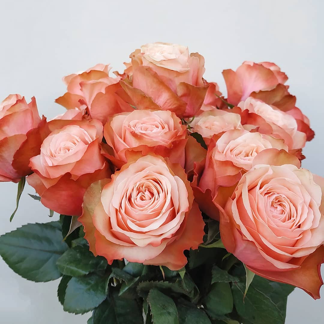 Kahala Rose Medium Bouquet