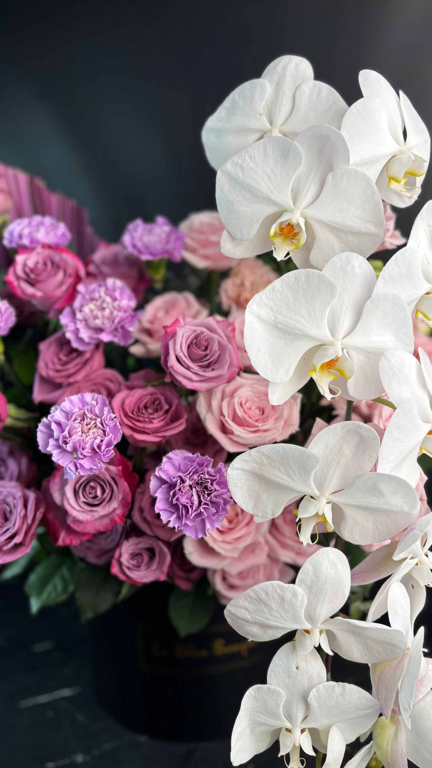 Purple Pink Orchid Bloombox