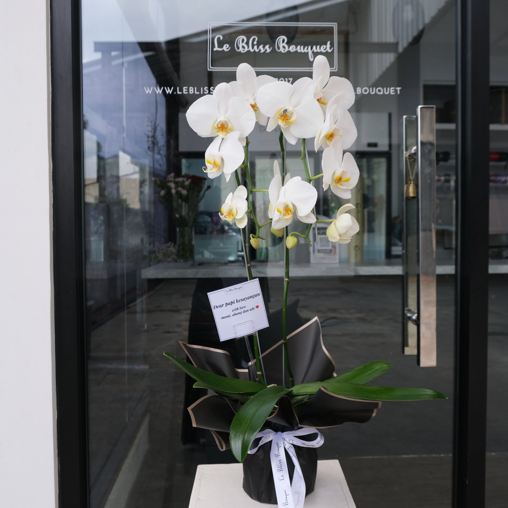 Orchid Double elegan dalam vas cantik untuk pengiriman di Jakarta, Surabaya dan Cirebon