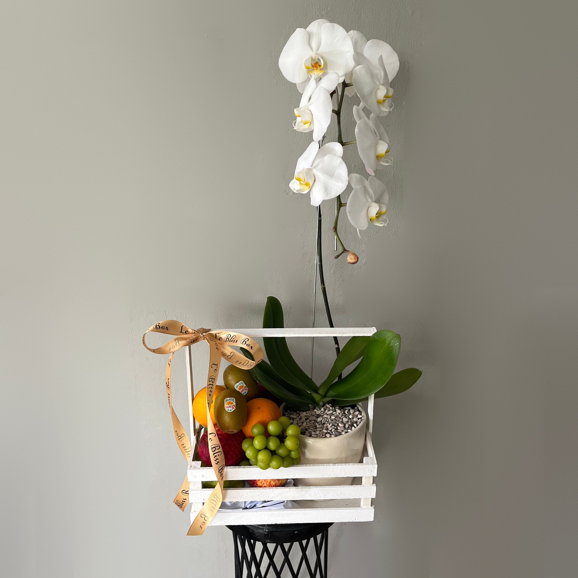 Parcel buah Anggrek segar dengan pengiriman di hari yang sama dari Le Bliss Bouquet. Pesan sekarang untuk hadiah istimewa di Jakarta, Bintaro, Tangerang, dan Cirebon