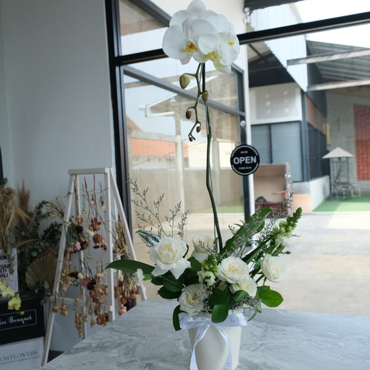 Rangkaian anggrek di cirebon by Le Bliss Bouquet