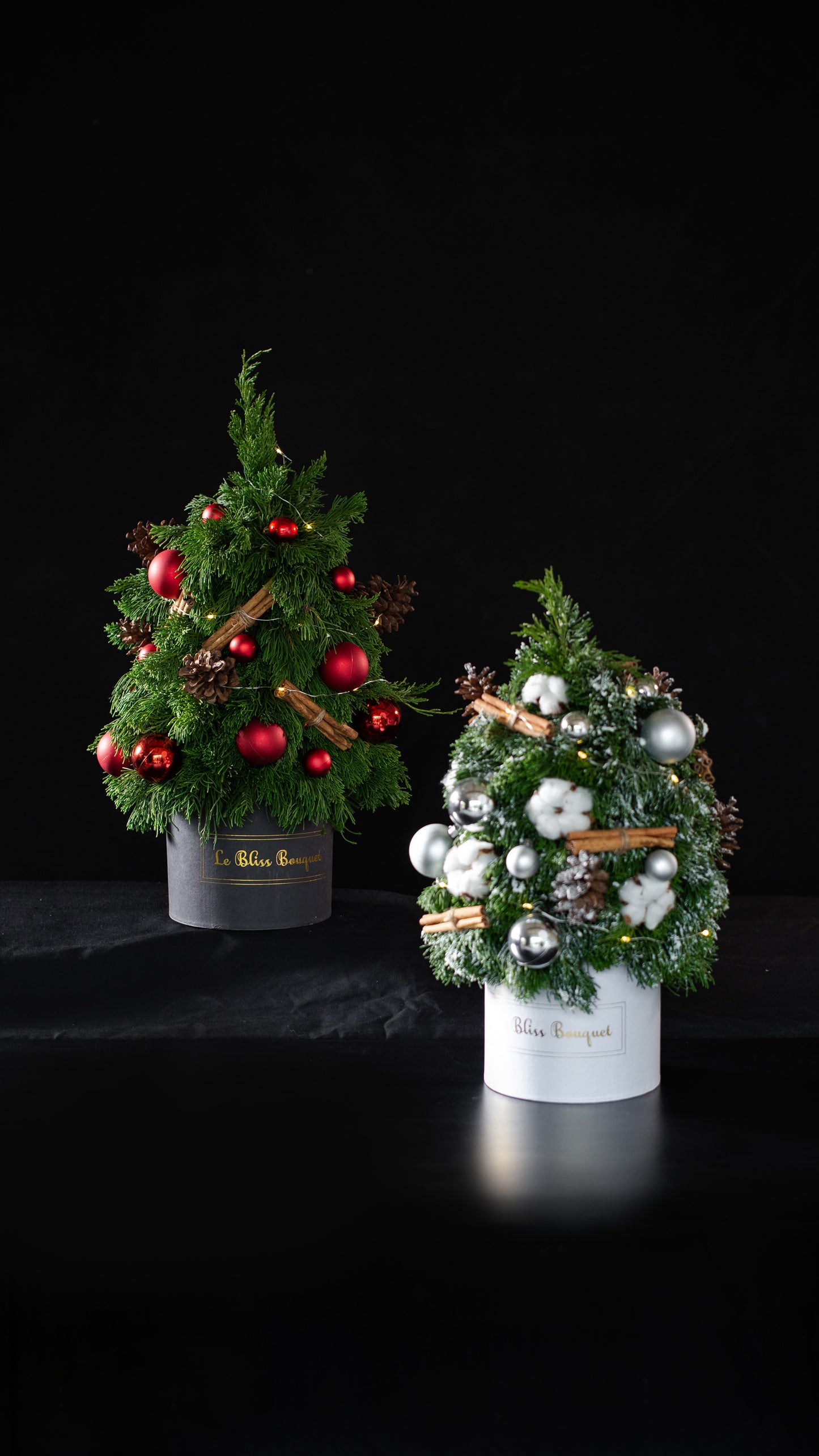 Fresh Christmas Tree Petite Bloombox