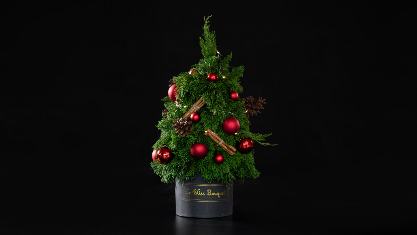 Fresh Christmas Tree Petite Bloombox