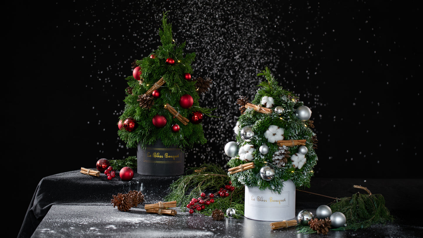 Fresh Christmas Tree Petite Bloombox