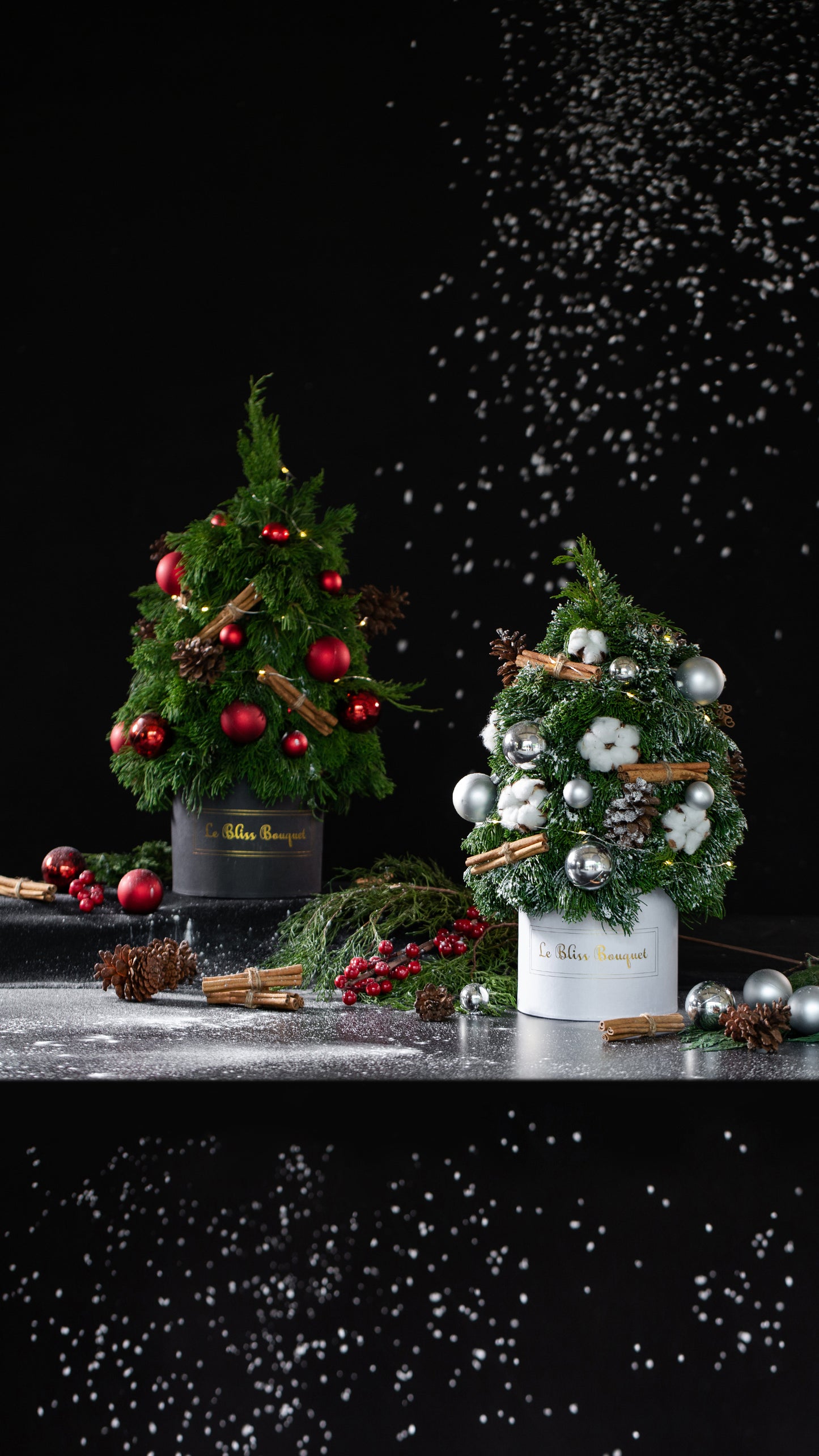 Fresh Christmas Tree Petite Bloombox