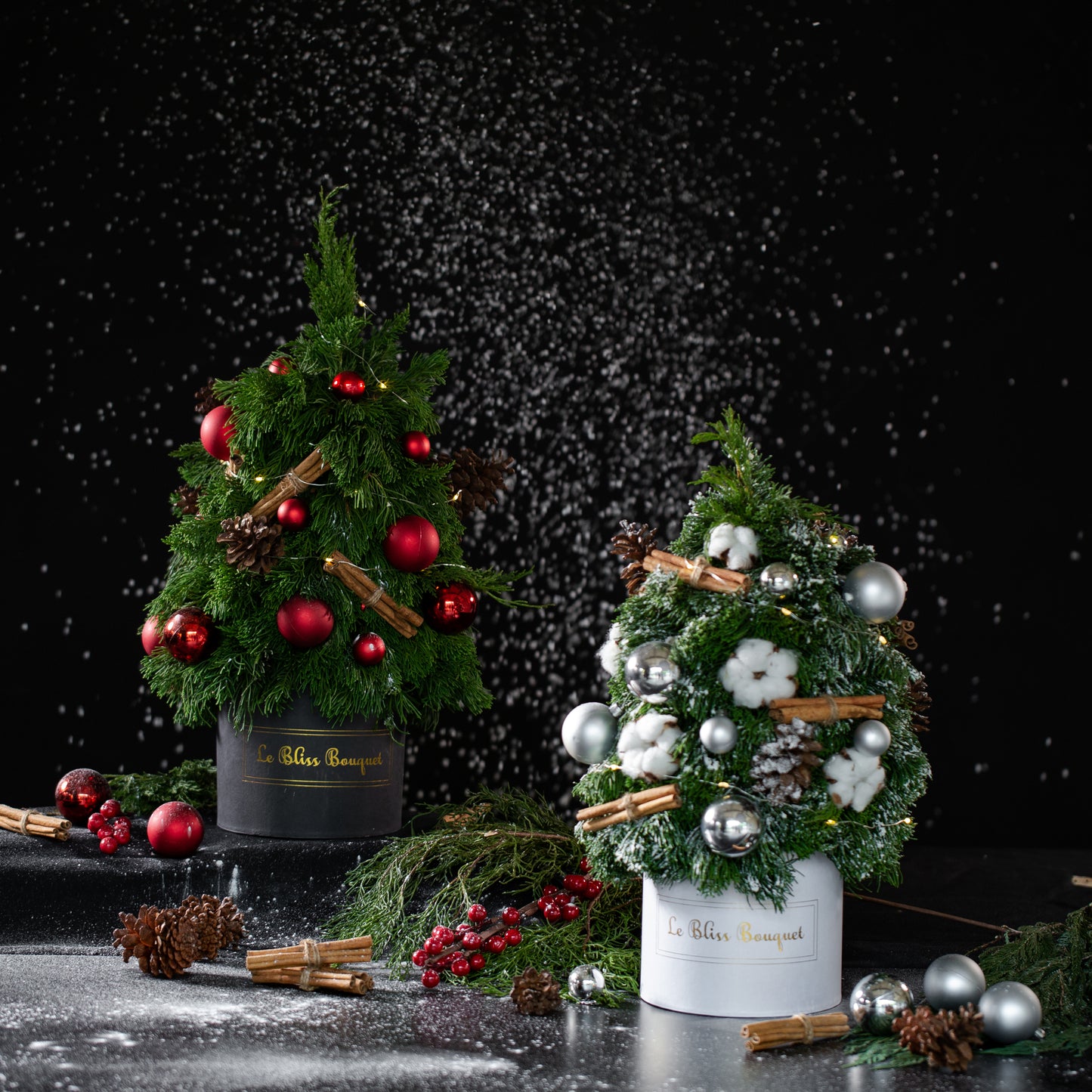 Fresh Christmas Tree Petite Bloombox