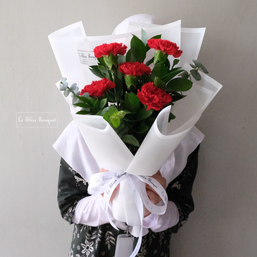 Red Carnation Nationwide Bouquet