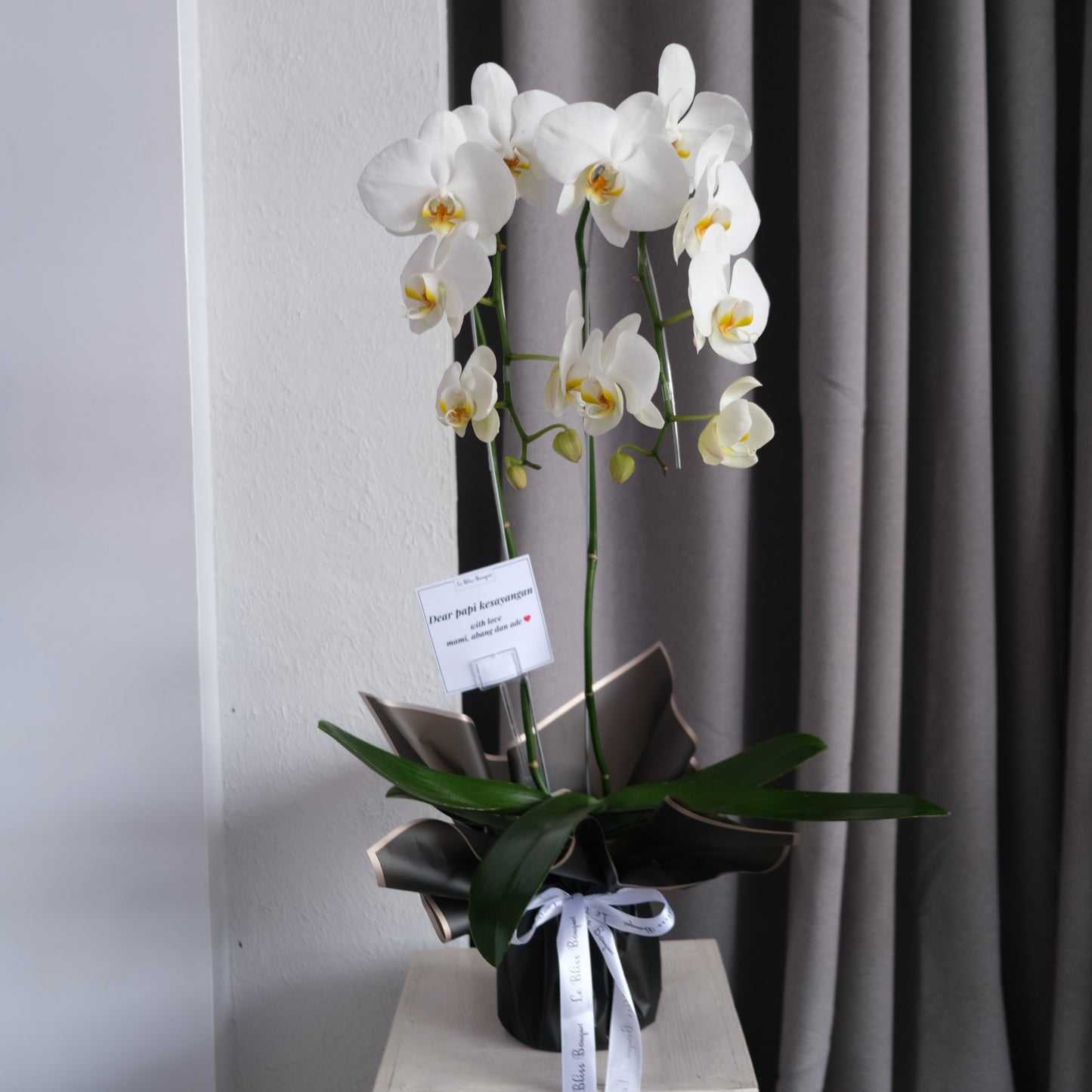 bunga anggrek Double elegan dalam vas cantik untuk pengiriman di Jakarta, Surabaya & Cirebon
