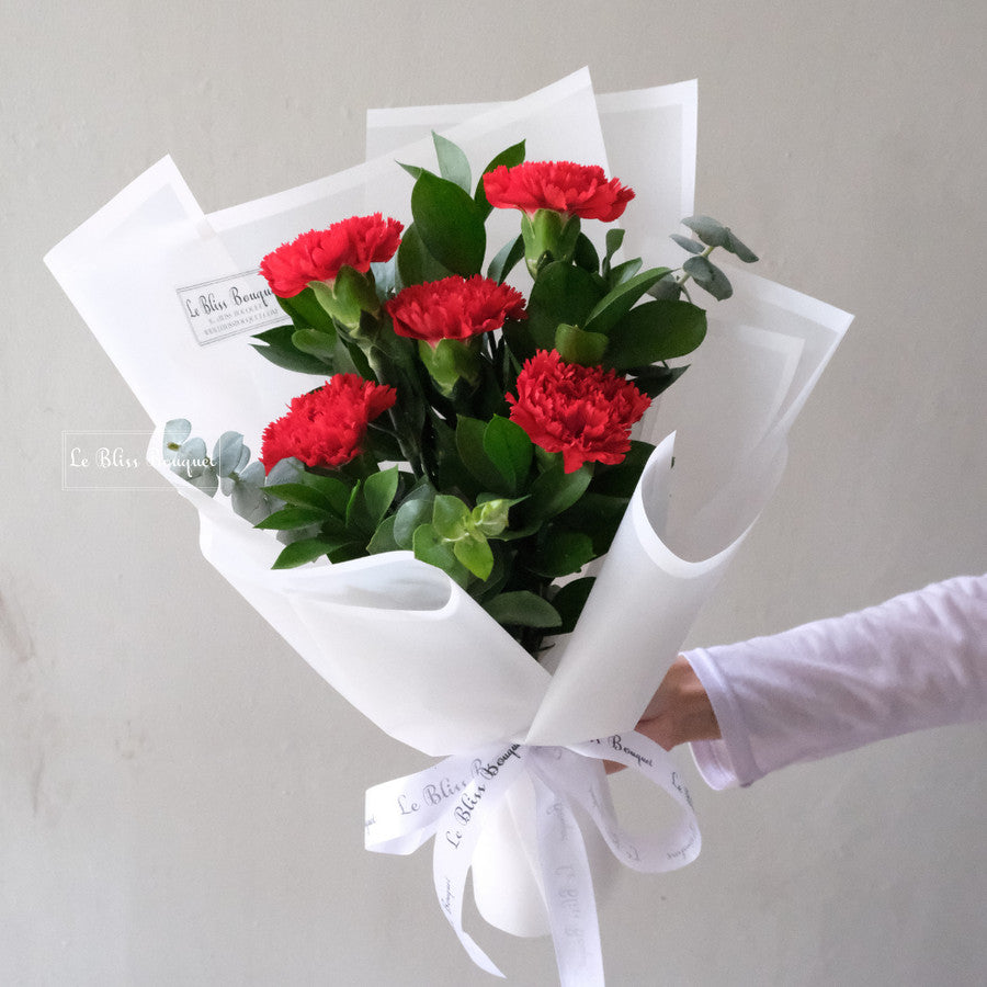Red Carnation Nationwide Bouquet