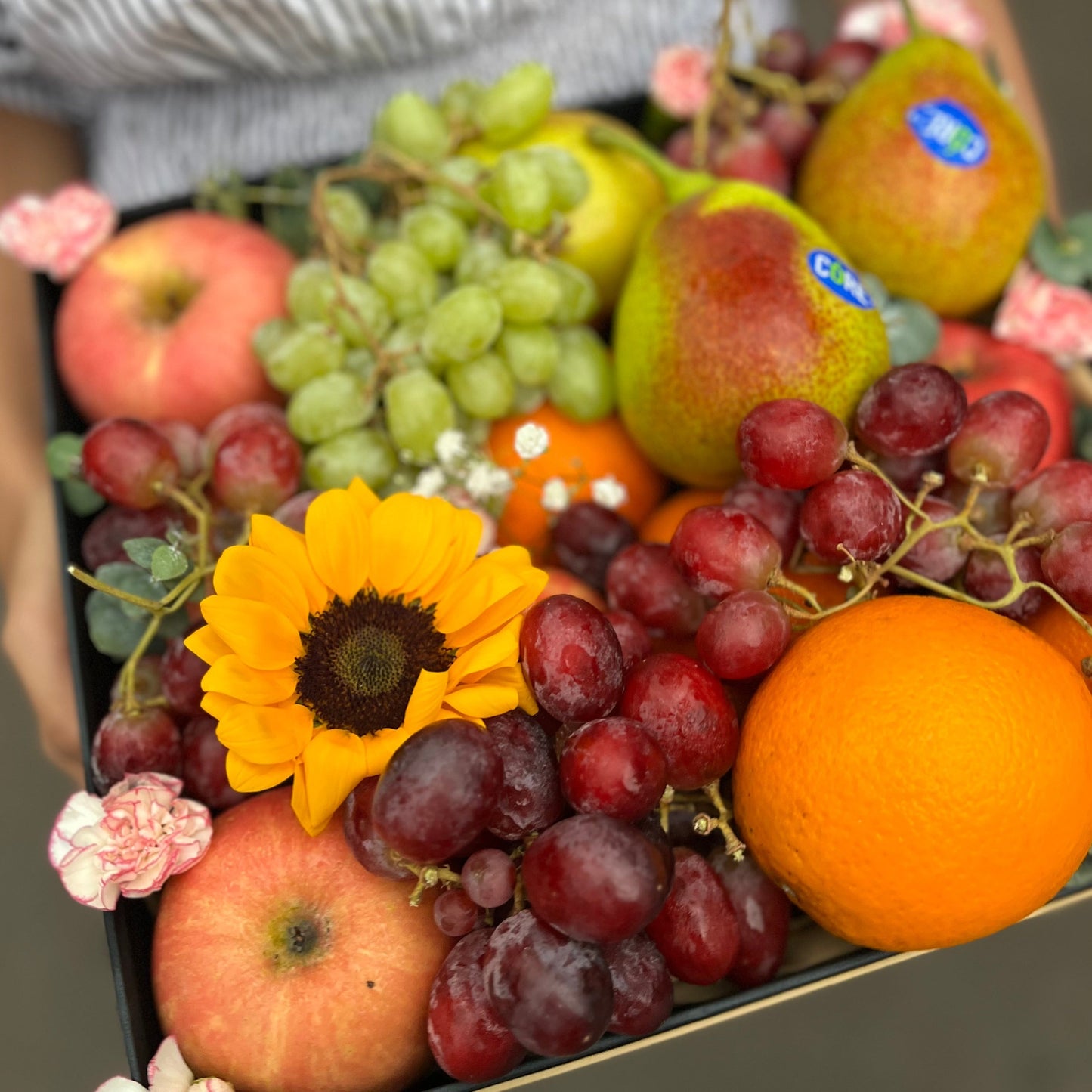 Parcel Buah Jakarta - Fruit Hamper Bintaro dan Jakarta | Toko Parcel Buah Mewah by Le Bliss Box - Hadiah Buah Segar dan Eksklusif untuk Semua Acara. parcel buah surabaya