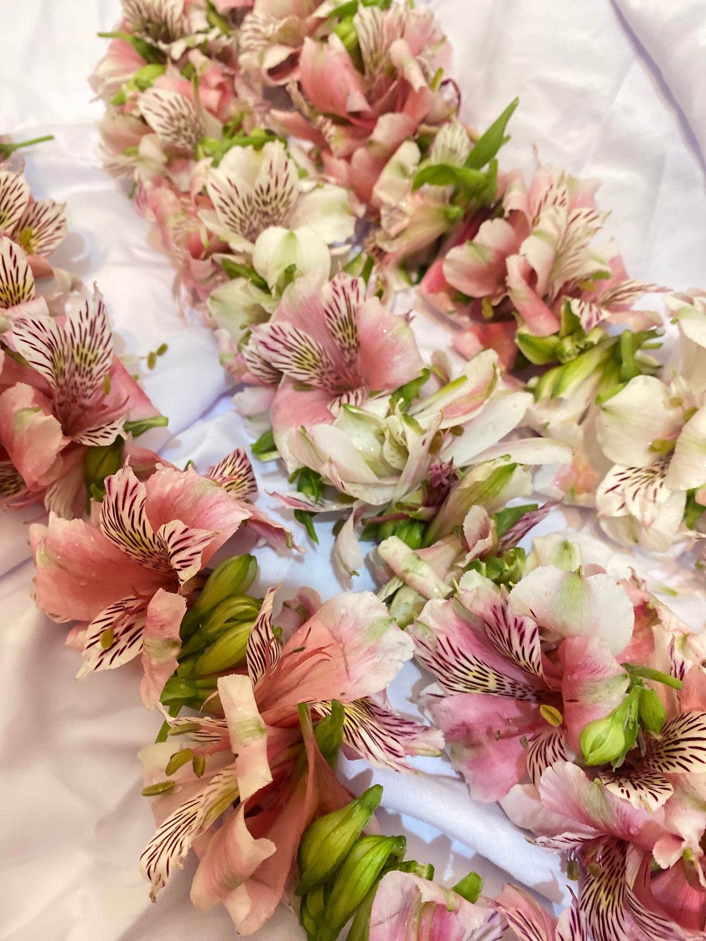 Kalung Bunga Penyambutan | Welcome Flower Necklace