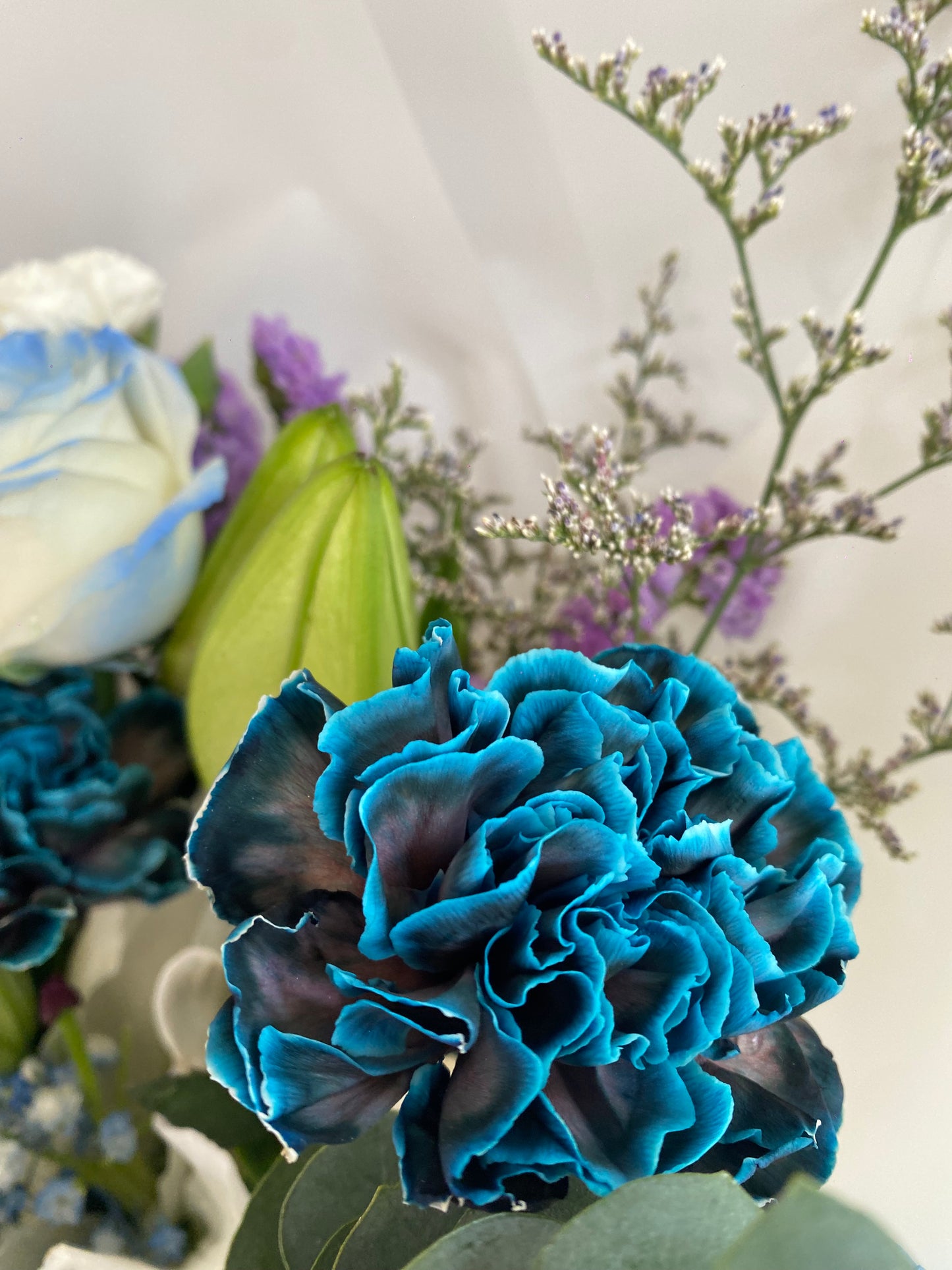Carnation Painted Navy Holland Bouquet