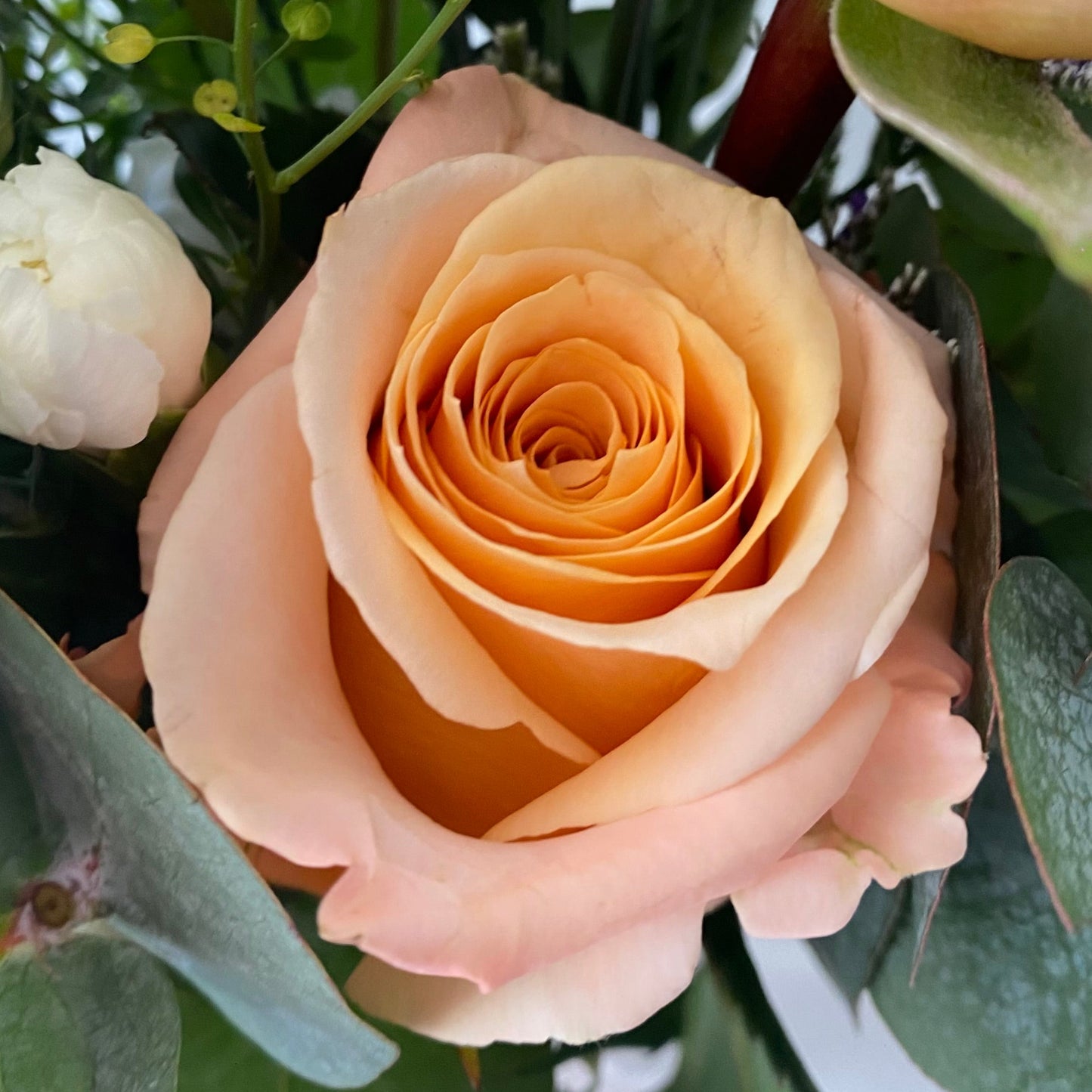 Shimmer Rose Bouquet