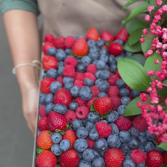 fruit box berries kekinian berisi raspberry blueberry strawberry beri impor segar dalam kotak dari Le Bliss Box